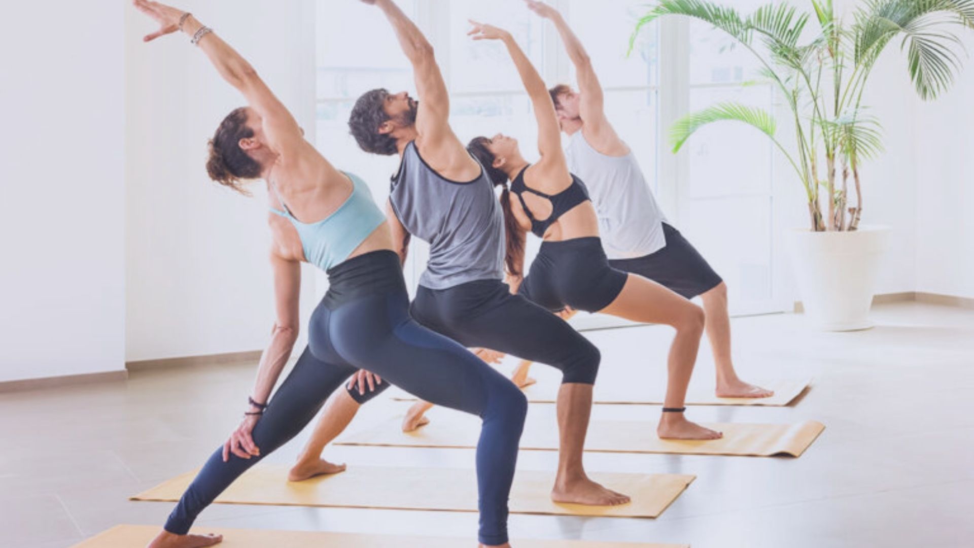 Giải thích nghịch lý trong hoạt động thể chất (phần 2)